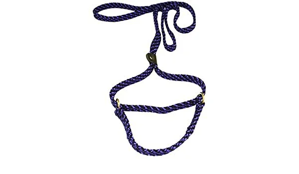 Lone Wolf Slip Leads Martingale Leashes Pet Agree